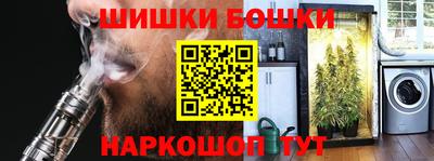 шишки Новокубанск